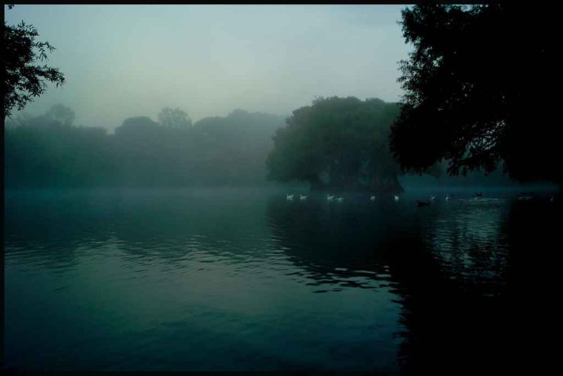 mist.jpg
